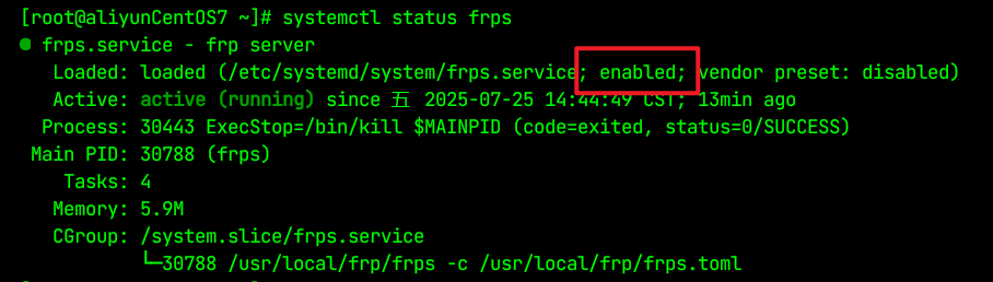 image-20250725145855822